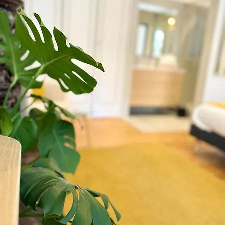 شقة L'elegant Paradoux - 3 Sdb - 2 Wc - Ascenseur - Parking - Plein Centre تولوز